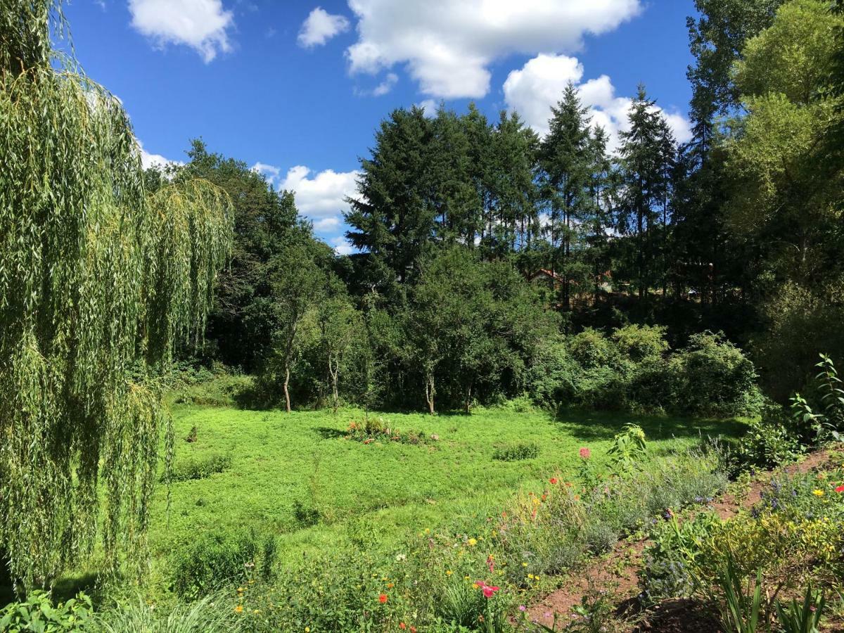 Haagalm Terrasse, Garten Nonnweiler Extérieur photo