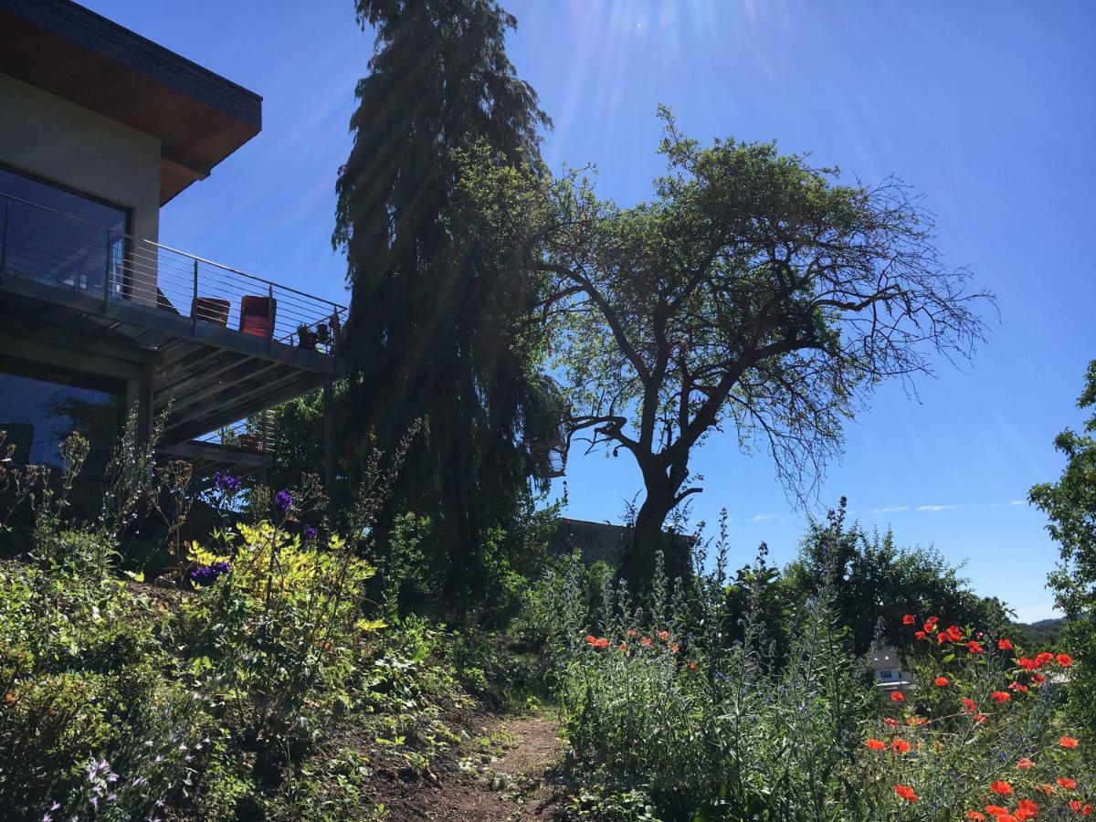 Haagalm Terrasse, Garten Nonnweiler Extérieur photo